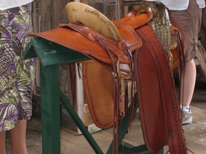 Hawaiian tree saddle.